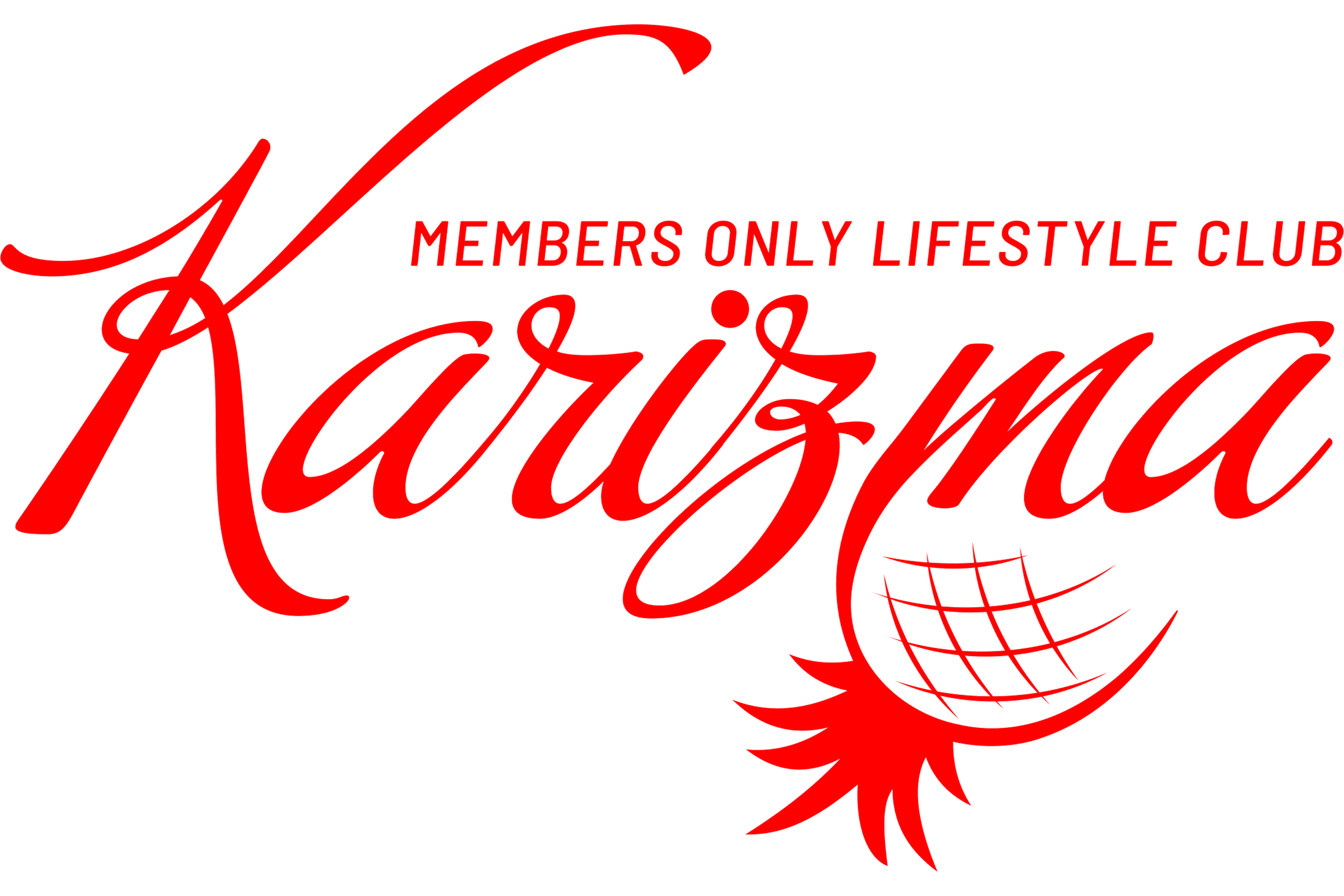 Karizma Social Club in Glen Gardner, NJ